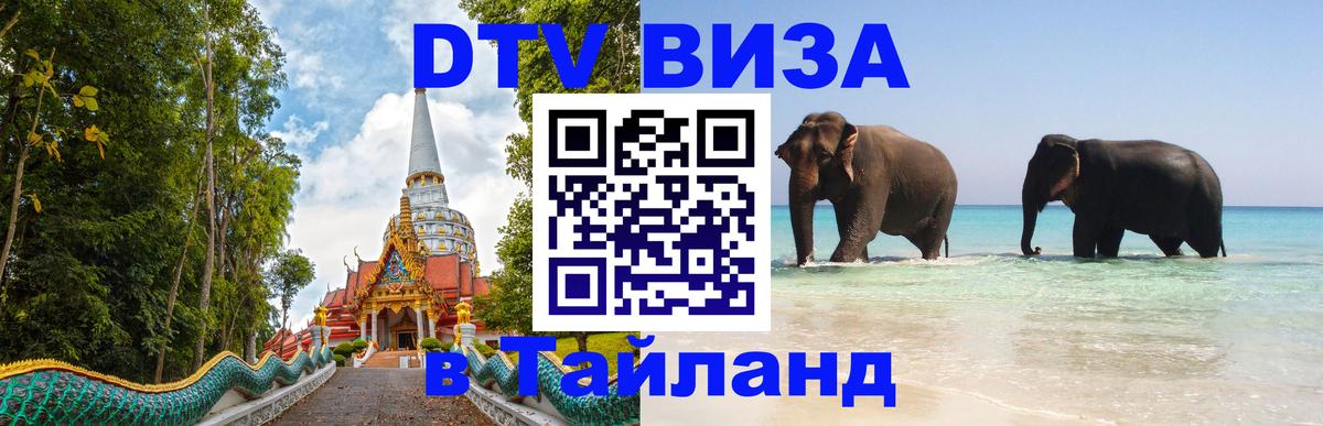 Стоимость и условия DTV визы — оформление в Таиланд под ключ - Шахты  21.11.2025 